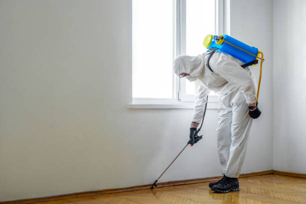 Best Pest Prevention Services  in Texkana, AR