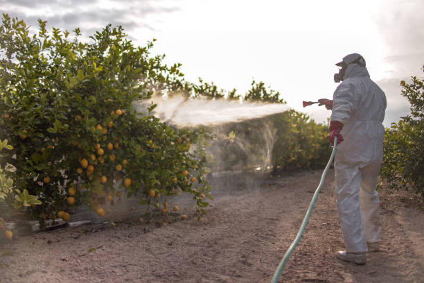 Best Mosquito Control Services  in Texkana, AR