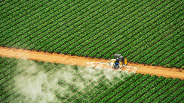 Pest Control for Restaurants in Texarkana, AR