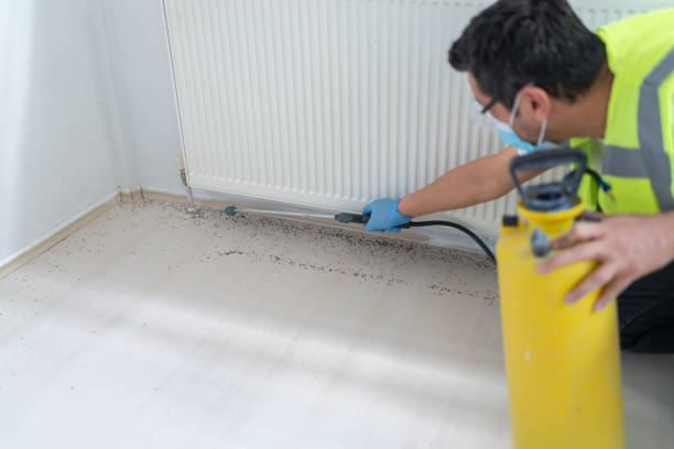 Trusted Texarkana, AR Pest Control Experts