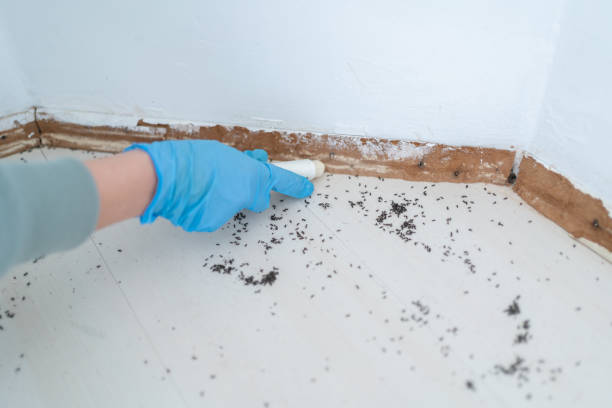 Best Wildlife Control Services  in Texkana, AR
